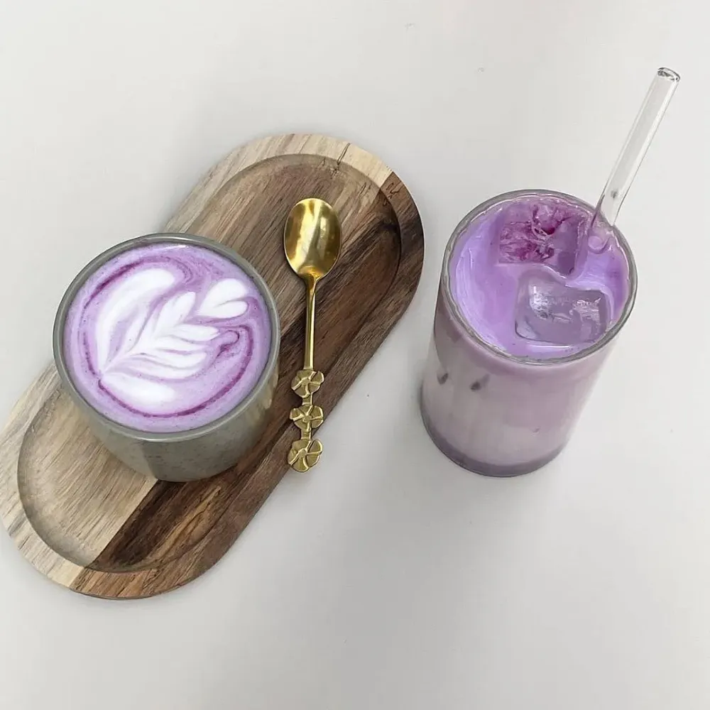 boissons fraiches (5)